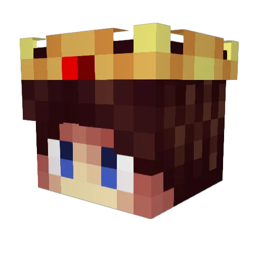 Prcvidenz Minecraft avatar head, 3D render
