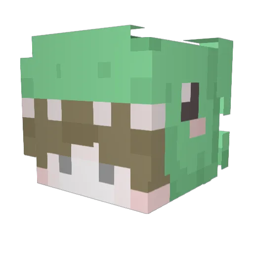 PreciseLeader15 Minecraft avatar head, 3D render