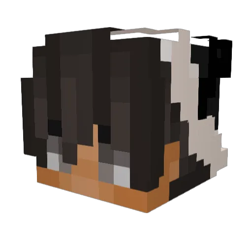 PreciselyTrash Minecraft avatar head, 3D render