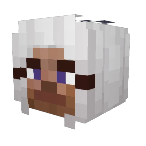 PrecureFan69 Minecraft avatar head, 3D render