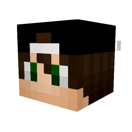 Predaraptor_02 Minecraft avatar head, 3D render