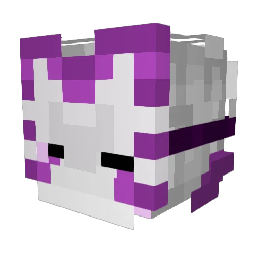 PreemWho Minecraft avatar head, 3D render