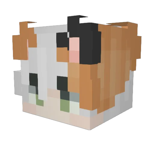 PremiumEagle344 Minecraft avatar head, 3D render