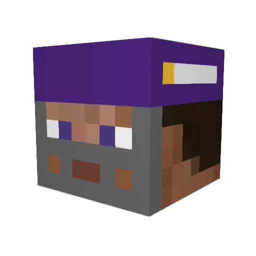 Prenatori Minecraft avatar head, 3D render