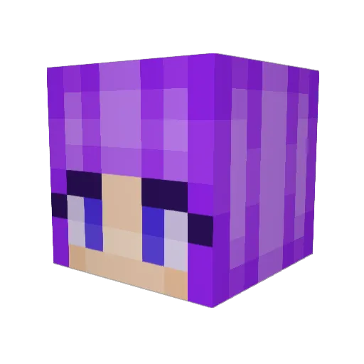 Prenis Minecraft avatar head, 3D render
