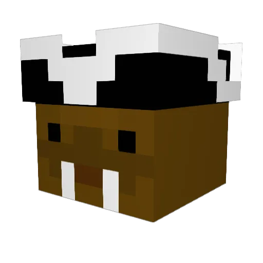 Pres_Walrus Minecraft avatar head, 3D render