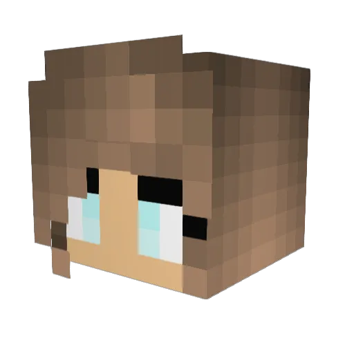 Prescribe Minecraft avatar head, 3D render