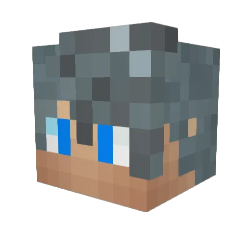 Preserver Minecraft avatar head, 3D render