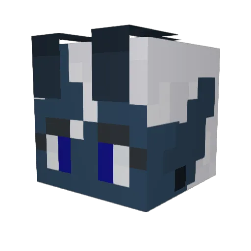 PresidentCatboy Minecraft avatar head, 3D render