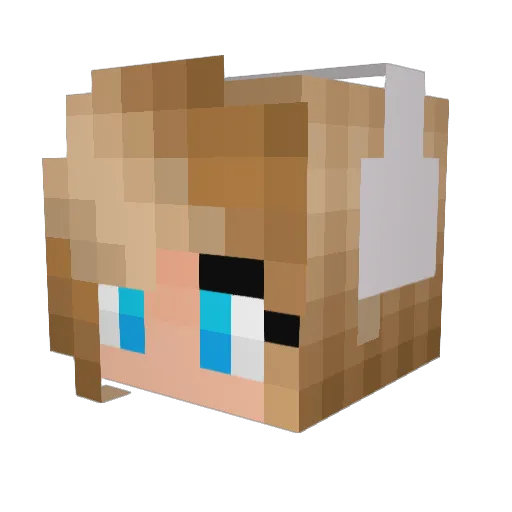 PresidentPickles Minecraft avatar head, 3D render