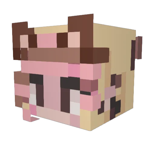 PresidentSoot Minecraft avatar head, 3D render