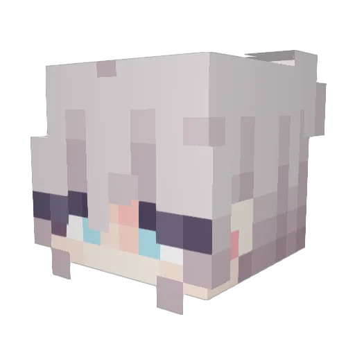 Preston4189 Minecraft avatar head, 3D render