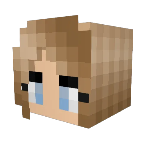 PrestonGames484 Minecraft avatar head, 3D render