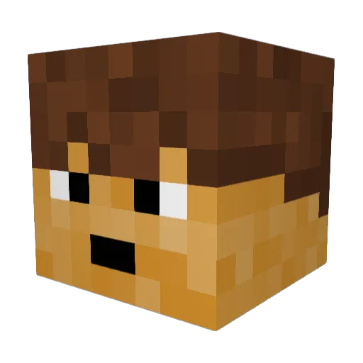 PrestonPlayz2507 Minecraft avatar head, 3D render