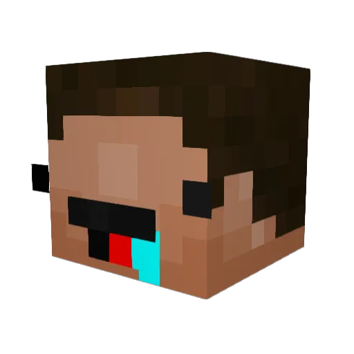 Preston_Seim Minecraft avatar head, 3D render