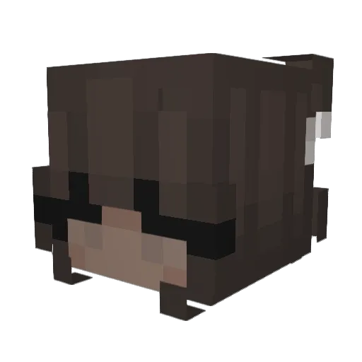 Pretentieuse_ Minecraft avatar head, 3D render