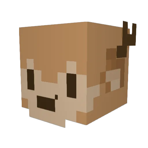 Pretentigon Minecraft avatar head, 3D render