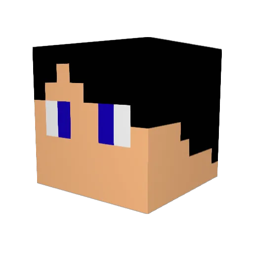 Pretinternetjr Minecraft avatar head, 3D render