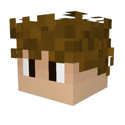 Pretpet Minecraft avatar head, 3D render