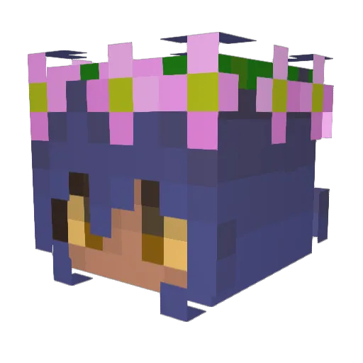 Pretti2 Minecraft avatar head, 3D render