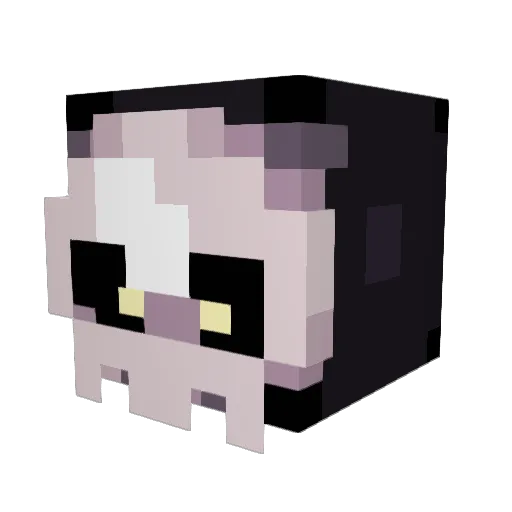 PrettyCoolKid123 Minecraft avatar head, 3D render