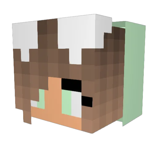 PrettyCuteAbby Minecraft avatar head, 3D render