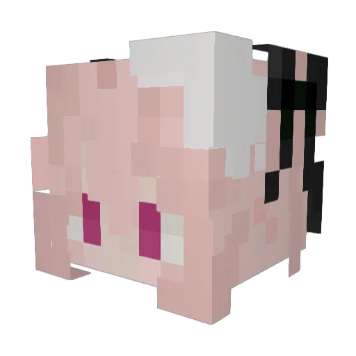 PrettyFemboy Minecraft avatar head, 3D render