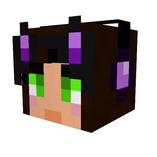PrettyLilKitty Minecraft avatar head, 3D render