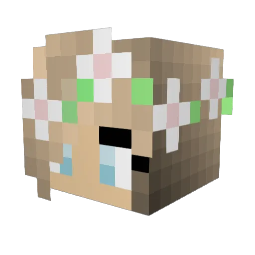 PrettyLittleVy Minecraft avatar head, 3D render