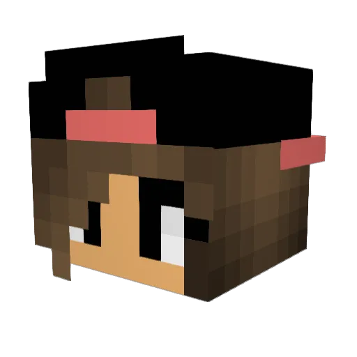 PrettyPaidBitch Minecraft avatar head, 3D render