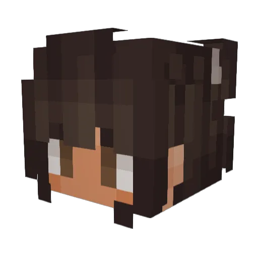 PrettyPickle17 Minecraft avatar head, 3D render