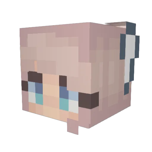 PrettyTaco_ Minecraft avatar head, 3D render