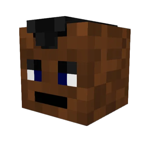 Pretty_Good Minecraft avatar head, 3D render