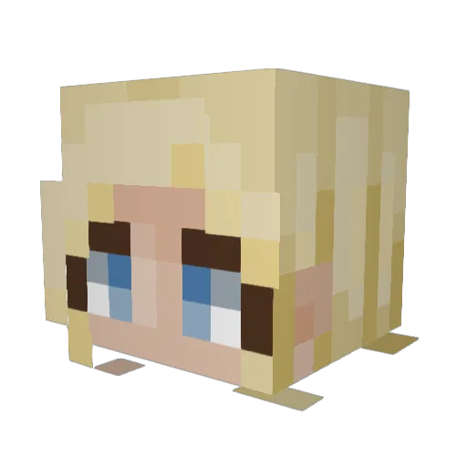 Pretty_Kitty9876 Minecraft avatar head, 3D render