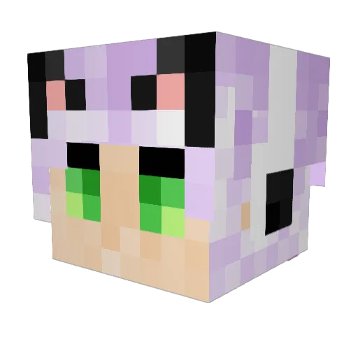 Pretty_Punk Minecraft avatar head, 3D render