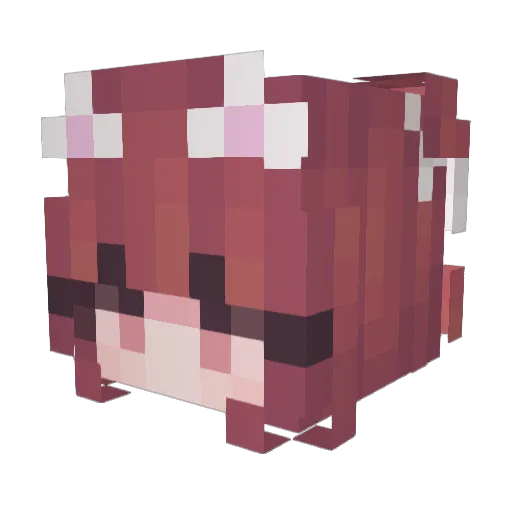Pretty_Typos Minecraft avatar head, 3D render