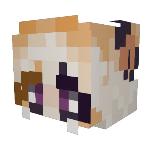 Pretty__Sugar Minecraft avatar head, 3D render