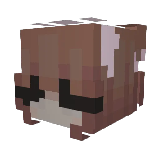 Prettykitttttty Minecraft avatar head, 3D render