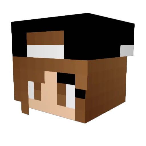 Prettylion Minecraft avatar head, 3D render