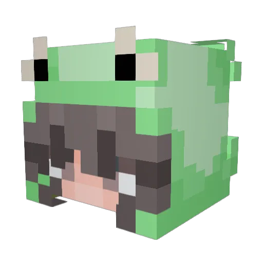 Prettyyou2 Minecraft avatar head, 3D render