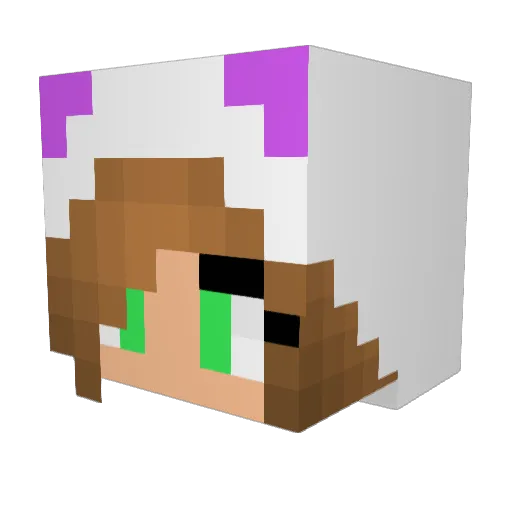 Pretzel25 Minecraft avatar head, 3D render