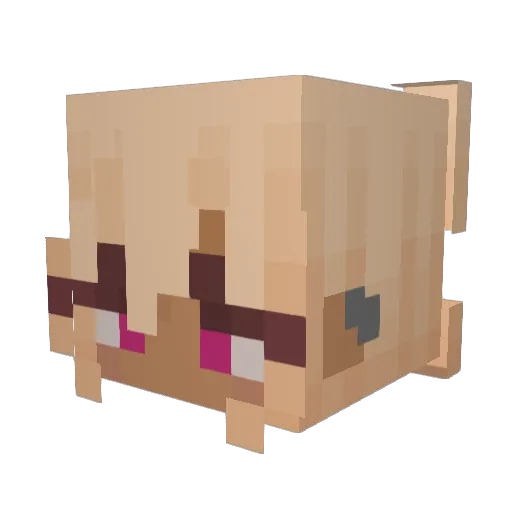 Pretzelpopp Minecraft avatar head, 3D render