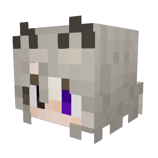 PreviousComb411 Minecraft avatar head, 3D render