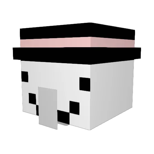 Preyyz Minecraft avatar head, 3D render