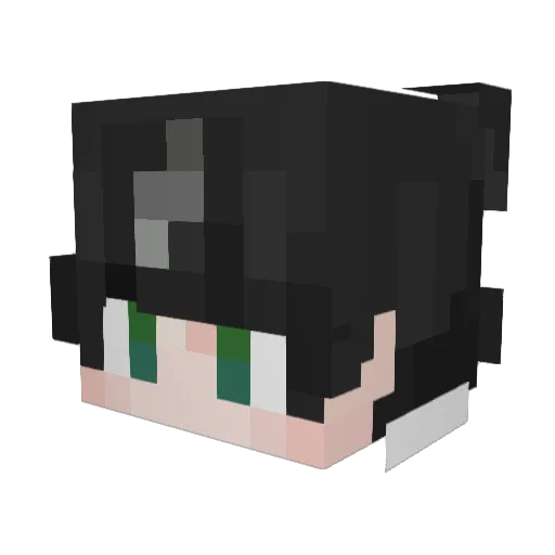 Prezerved Minecraft avatar head, 3D render
