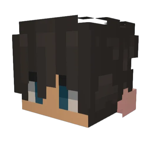 Prezes_Michal Minecraft avatar head, 3D render