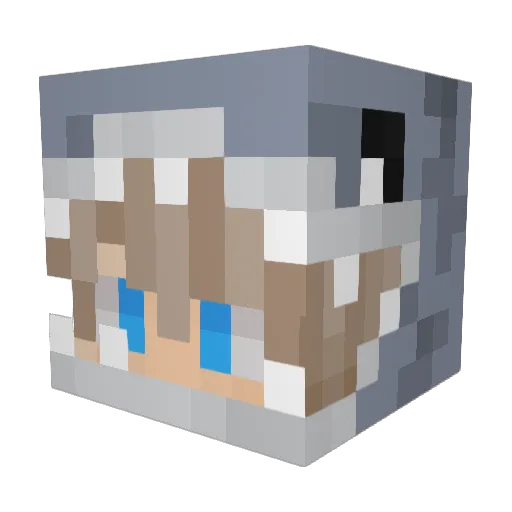 Prezzy28 Minecraft avatar head, 3D render