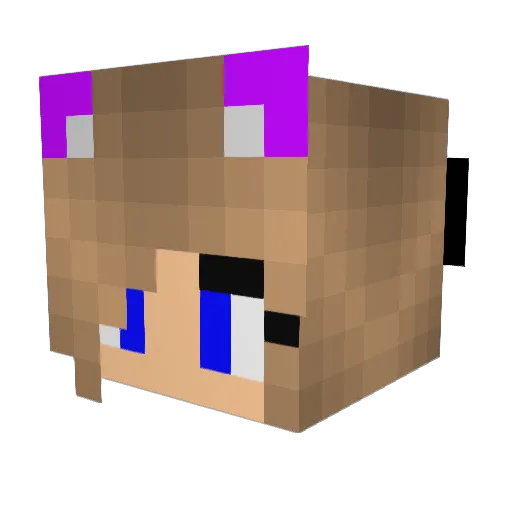 PriNirvana Minecraft avatar head, 3D render