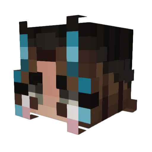 PricelessMC Minecraft avatar head, 3D render