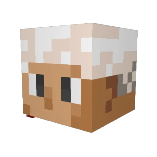 Prietar Minecraft avatar head, 3D render
